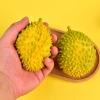 Creative simulation fruit durian pinching fun Stress-relieving and funny stress relief balls, children's toy factory wholesale Specification image